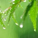 梅雨対策特集
