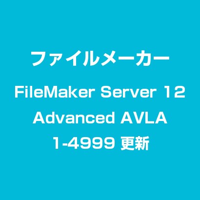 filemaker server 11 system requirements