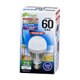 一般電球形 E26 60形相当 昼光色 8W 880lm 115mm E-Bright 人感センサー機能 LDA8D-H R20 06-3120