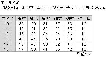 ヨドバシ.com - ザ・ノース・フェイス THE NORTH FACE アコンカグア 