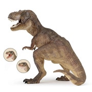 Amazon.co.jp: Papo(パポ) プレシオサウルス PVC PA55021 : おもちゃ