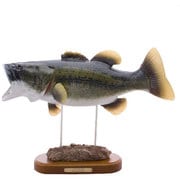 希少品　激レア　フェバリット社　クロダイ　50センチ　年なし　GFA-053 クロダイ 50cm (年なし) | HLJ.co.jp