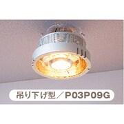 ヨドバシ.com - パアグ PAAG P03P09D [ヒーター一体型照明 ポカピカ 半