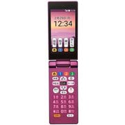 ☆ SoftBank かんたん携帯9 505SH プラチナシルバー #2 Amazon | ソフトバンク SHARP SoftBank かんたん携帯9 505SH