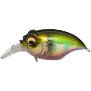 ヨドバシ.com - メガバス Megabass New SR-X GRIFFON GG カスミタイガー [クランクベイト] 通販【全品無料配達】