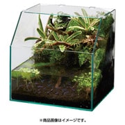 【値下げok】 GEX グラステリア アクアテラ スリム450 楽天市場】【J】 ジェックス グラステリア アクアテラ スリム450