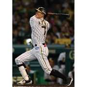 ヨドバシ.com - CL-546 鳥谷敬(阪神タイガース) [2019年 壁掛け