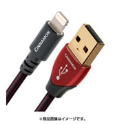 ヨドバシ.com - Audio Quest オーディオクエスト USB2/CIN/0.75M/LG