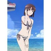 ヨドバシ.com - カーテン魂 冴えない彼女の育てかた Fine 描き