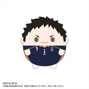 ヨドバシ.com - マックスリミテッド ハイキュー！！ ふわコロ
