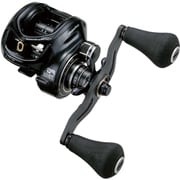 FULLRANGE PG 73R ベイトリール tailwalk 19 FULLRANGE PG 73R 釣り ベイトリール - 最安値