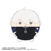 ブルーロック ふわコロりんBIG2 F 絵心甚八 (キャラクターグッズ