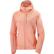 【未使用 タグ付】サロモン SALOMON ボナッティ クロスフルジップフーディ 51-IkMzMedL._AC_SX466_.jpg