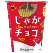 ヨドバシ.com - ブルボン じゃがチョコ 40g 通販【全品無料配達】