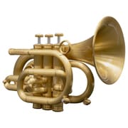 ヨドバシ.com - キャロルブラス CarolBrass B♭フリューゲルホルン N6200 GB ALL-SATIN ゴールドブラスベル サテンラッカー  仕上げ・バックパックケース付き 382014 通販【全品無料配達】