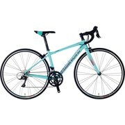 Bianchi クロモリロード