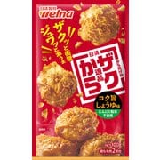 ヨドバシ.com - 日清製粉ウェルナ から揚げ粉 ザクから逸品