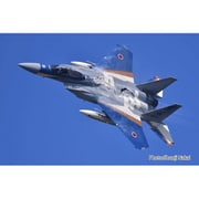 ヨドバシ.com - プラッツ PLATZ AC-95 1/72 航空自衛隊 F-15J イーグル 第306飛行隊 2024 小松基地航空祭  航空自衛隊70周年記念塗装機 [組立式プラスチックモデル] 通販【全品無料配達】