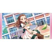 アイドルマスター 辻野あかり おめざめ☆あかりんごver. サプライセットんご アイドルマスター 辻野あかり おめざめ☆あかりんごver