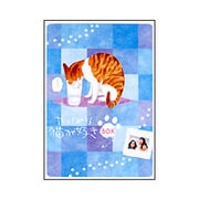 ヨドバシ.com - やっぱり猫が好き BOX [DVD] 通販【全品無料配達】