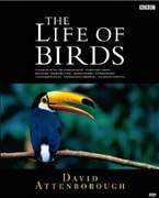 BBCドキュメント100シリーズ プライベート・ライフ・オブ・プランツ/植物の世 The Private Life of Plants: Attenborough, David