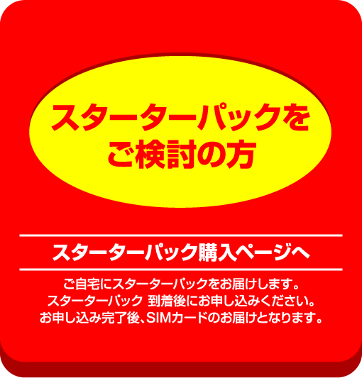 ヨドバシ Com Sim 日本通信sim
