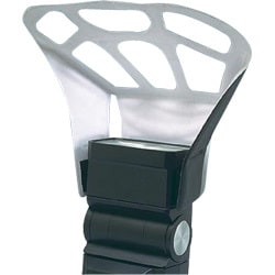 80-20