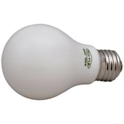 引き伸ばし電球 100V100W
