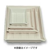 カビネ 白 L65211C 印画紙用プラスチックバット