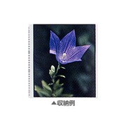 L7-P用替台紙 4切用