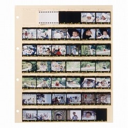 HAKUBA　リバーサルフィルムアルバム用　スペアシート(10シート入✕14袋) Amazon | ハクバ (HAKUBA) フィルム用アルバム ネガアルバム