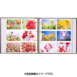 ヨドバシ.com - ハクバ HAKUBA 600枚収納 E判またはL判 レポート