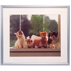 全国総量無料で ヨドバシ.com - 6切 A13 アルミ額縁 FUJICOLOR フジカラー 額縁