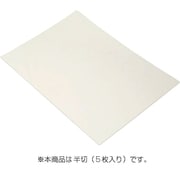 エンビシート 半切 5枚入