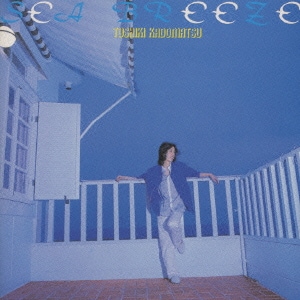 角松敏生／SEA BREEZE
