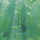 大野恭史／リラックス・イリュージョン FOREST～森～