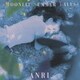 杏里／Moonlit Summer Tales