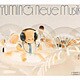 松任谷由実／ノイエ・ムジーク YUMI MATSUTOYA COMPLETE BEST VOL.1
