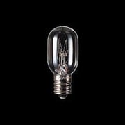 白熱電球 ミニクリヤーランプ E12口金 100V 5W形 クリア 2個入り 100V5WT20E12A2P