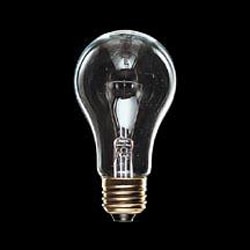 白熱電球 街灯用電球 E26口金 40W GAITO 40WN