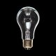 白熱電球 街灯用電球 E26口金 100W GAITO100WN