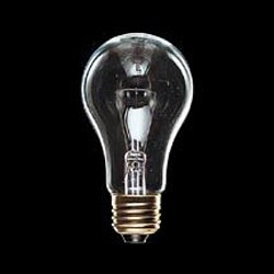 白熱電球 街灯用電球 E26口金 100W GAITO100WN