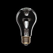 白熱電球 耐振電球 E26口金 110V 40W形 55mm径 クリア TAI110V40WE