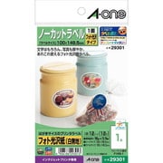 はがきサイズのプリンタラベル 光沢紙タイプ ノーカット 12シート 29301