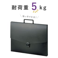 希少☆アルマンド 限定 2023 2018年☆ケース 保存袋 4点セット