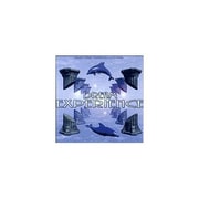 Dream Experience/AUDIO [サンプリング素材]