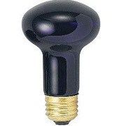 白熱電球 ブラックランプ 60W R622660BL