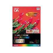 カラープリンタ用光沢紙 A3 100枚 KB-FG158