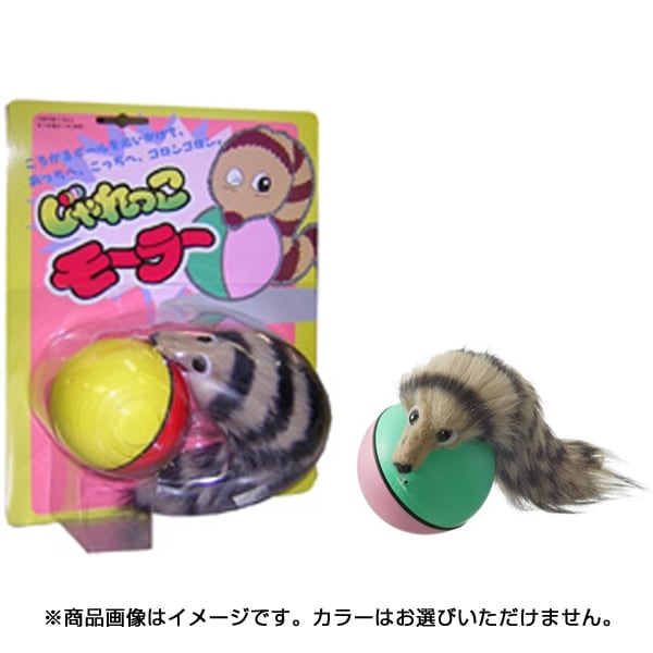 じゃれっこモーラー