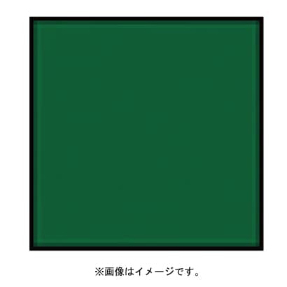 P004 [Pシリーズ 全面カラーフィルター グリーン 000047]